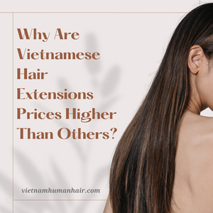 Why Are Vietnamese Hair Extensions Prices Higher Than Others?