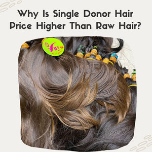 Why Is Single Donor Hair Price Higher Than Raw Hair?